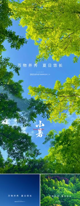 地产小暑节气海报风景森林二十四