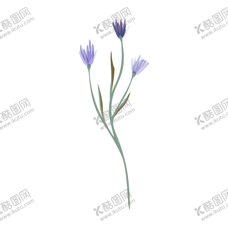 编号：50201807021157319267【酷图网】源文件下载-森系花枝