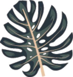 树叶矢量大海冷饮椰汁
