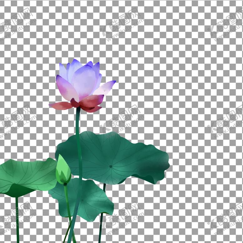 编号：34278009230801181085【酷图网】源文件下载-透明底荷花