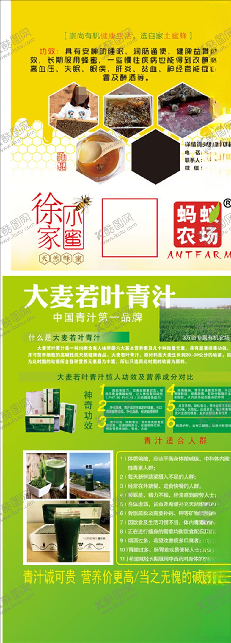 编号：52210204070639057719【酷图网】源文件下载-大麦若叶展架