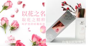 玫瑰花束粉色玫瑰