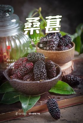 桑葚