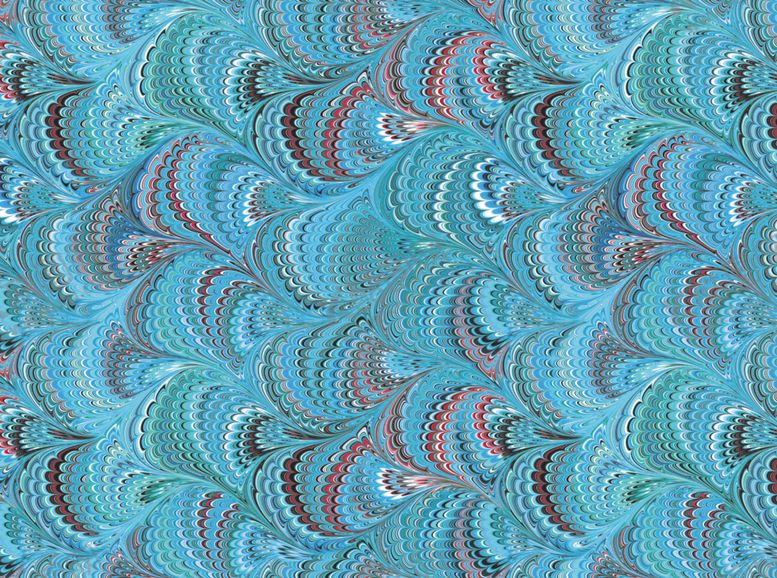 编号：94076909190551128716【酷图网】源文件下载-孔雀