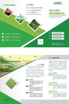 绿色清新企业宣传册设计