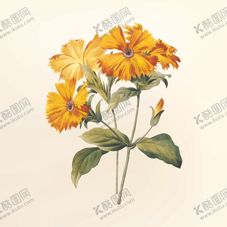 编号：76263710011057084433【酷图网】源文件下载-花纹