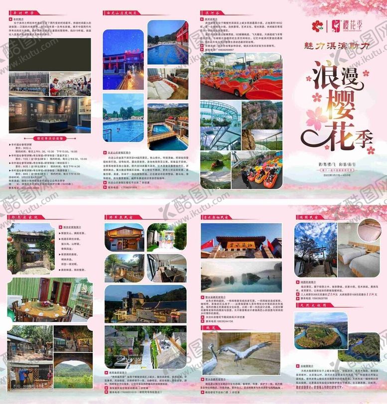 编号：14068505160952041677【酷图网】源文件下载-浪漫樱花季三折页