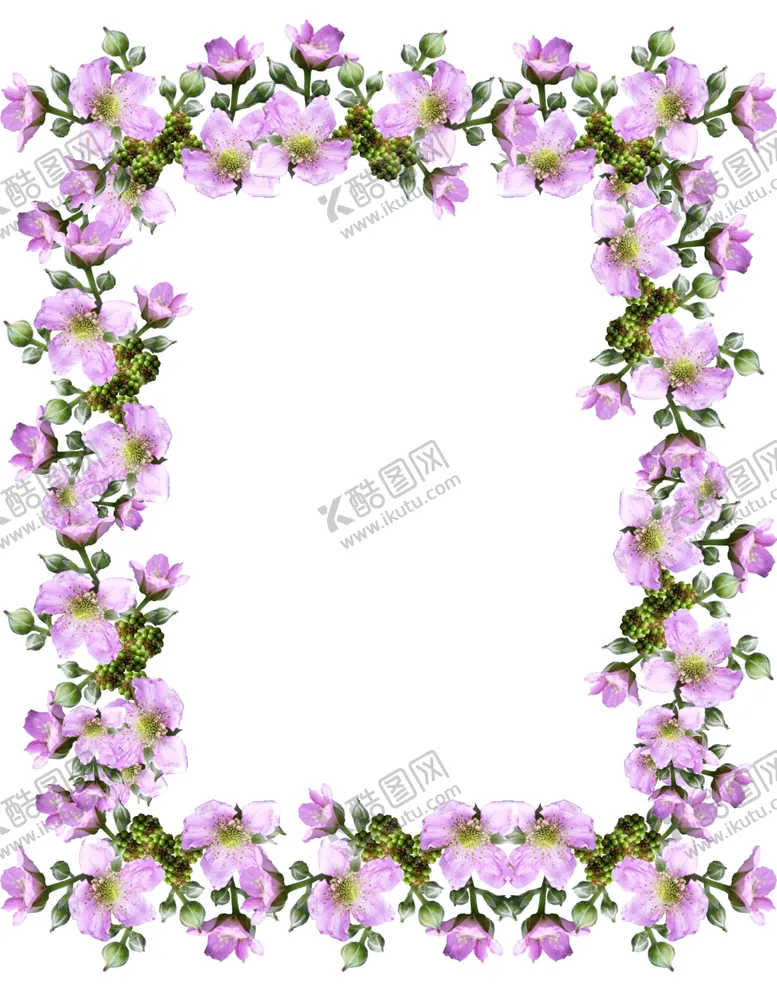 编号：45312702161637518944【酷图网】源文件下载-鲜花