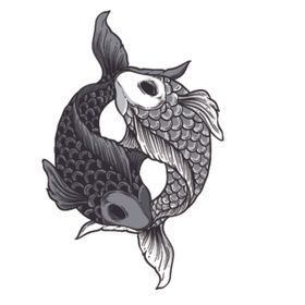 鲤鱼插画图案