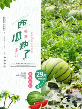 西瓜