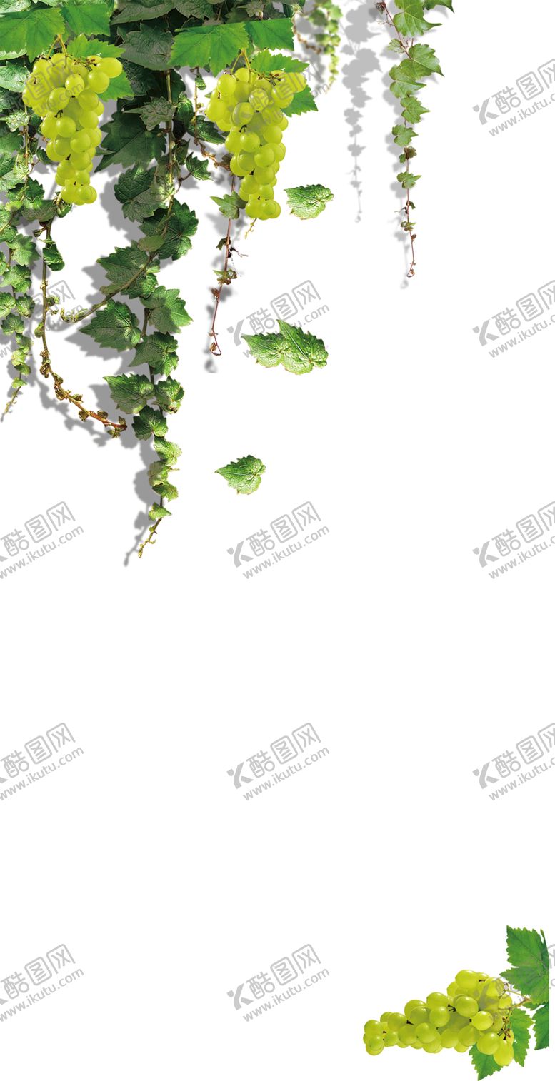 编号：95204210251944508744【酷图网】源文件下载-水果