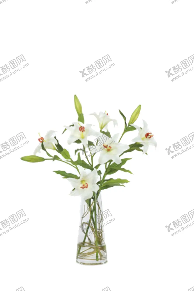 编号：38562006281405225780【酷图网】源文件下载-免抠背景花草树木