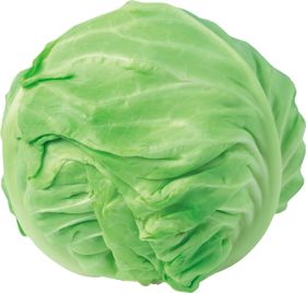 包菜