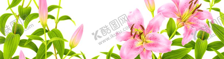 编号：64517609281131305802【酷图网】源文件下载-北欧小清新花朵床头装饰画无框画