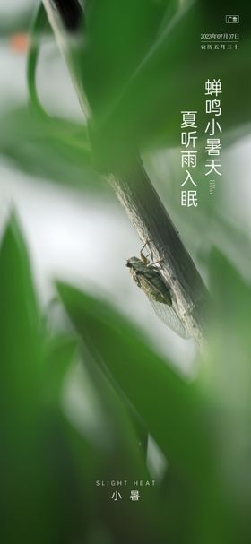 小暑节气微信