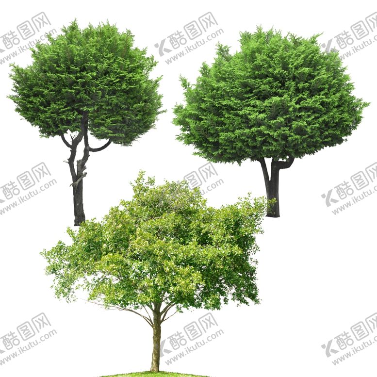 编号：51979904181646382748【酷图网】源文件下载-绿树