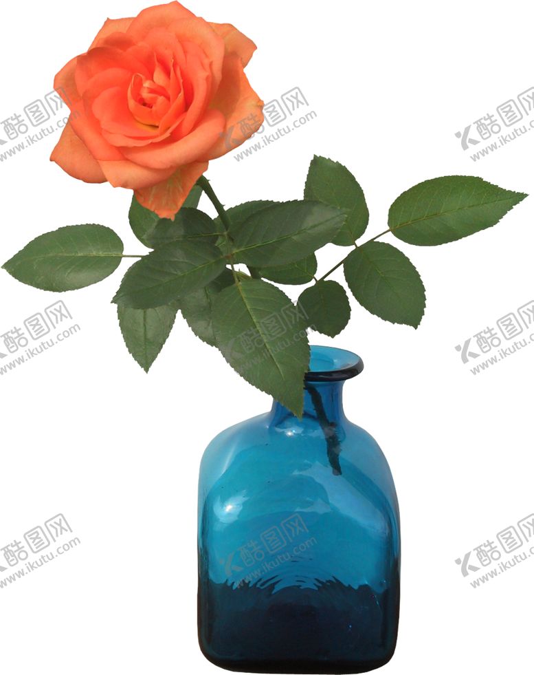 编号：99502910130715419926【酷图网】源文件下载-花瓶插花