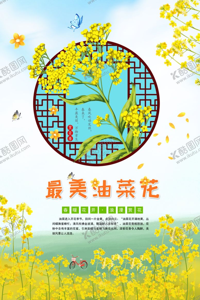 编号：25355507021733454698【酷图网】源文件下载-油菜花
