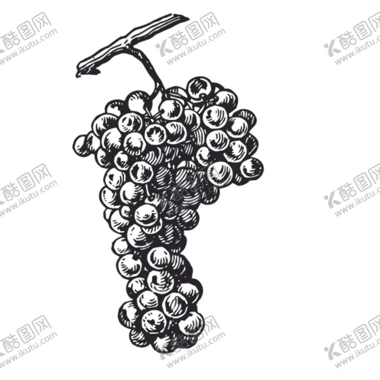 编号：86801507051038203043【酷图网】源文件下载-水果绘画线稿图案