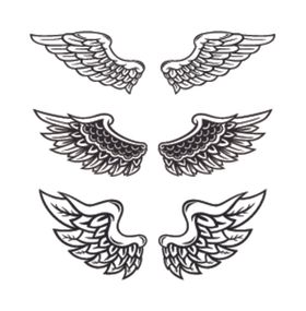 翅膀logo