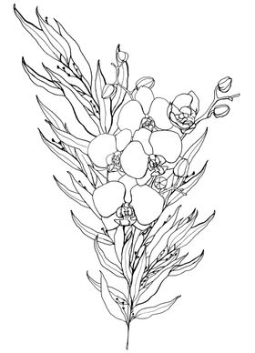 植物花朵装饰图案