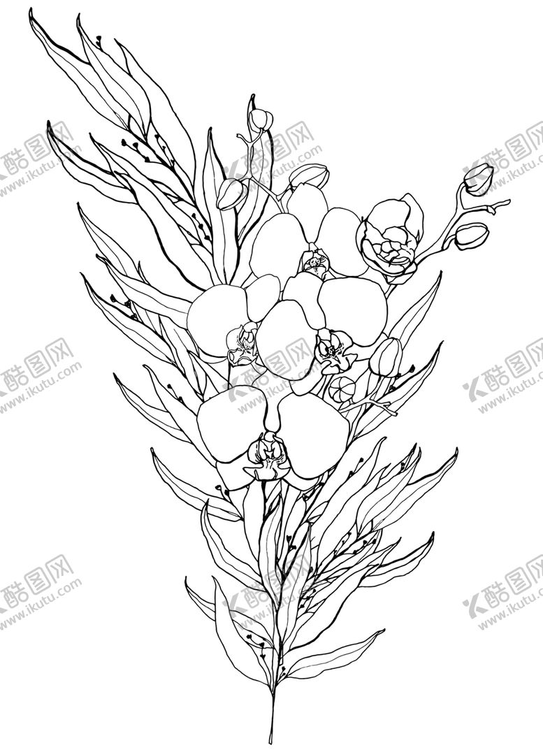 编号：27690609260820197242【酷图网】源文件下载-植物花朵装饰图案