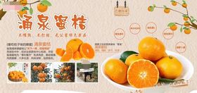 涌泉蜜桔