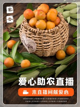 爱心助农