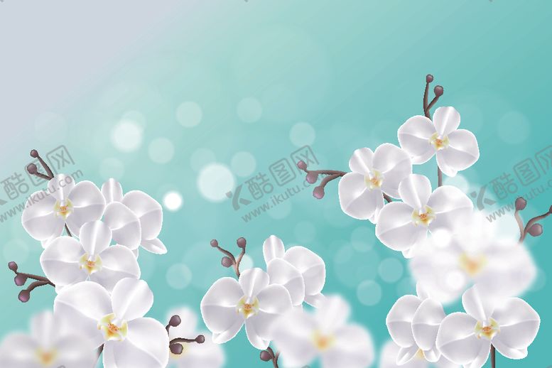 编号：61139110050741277732【酷图网】源文件下载-花朵背景