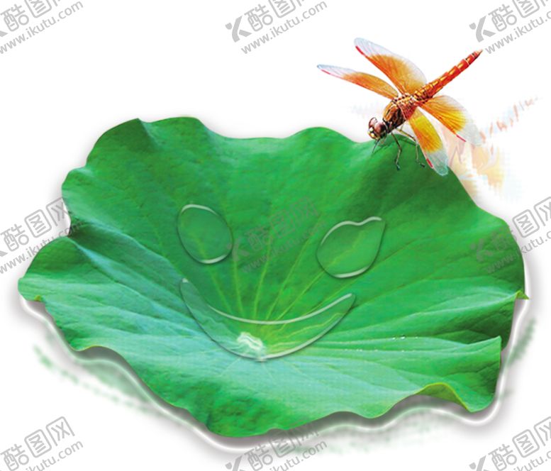 编号：37428107041257288474【酷图网】源文件下载-绿色植物