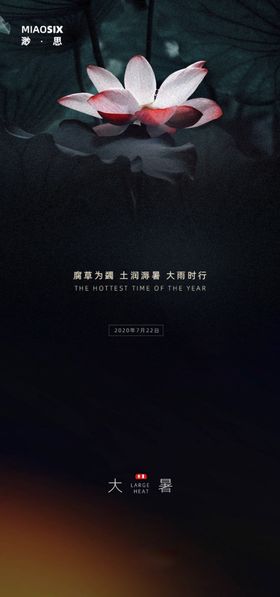 大暑节气海报