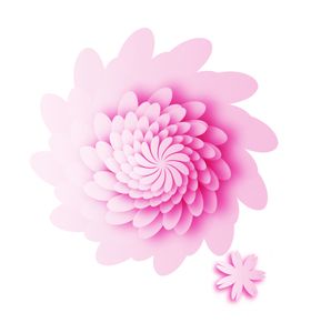 立体装饰花朵