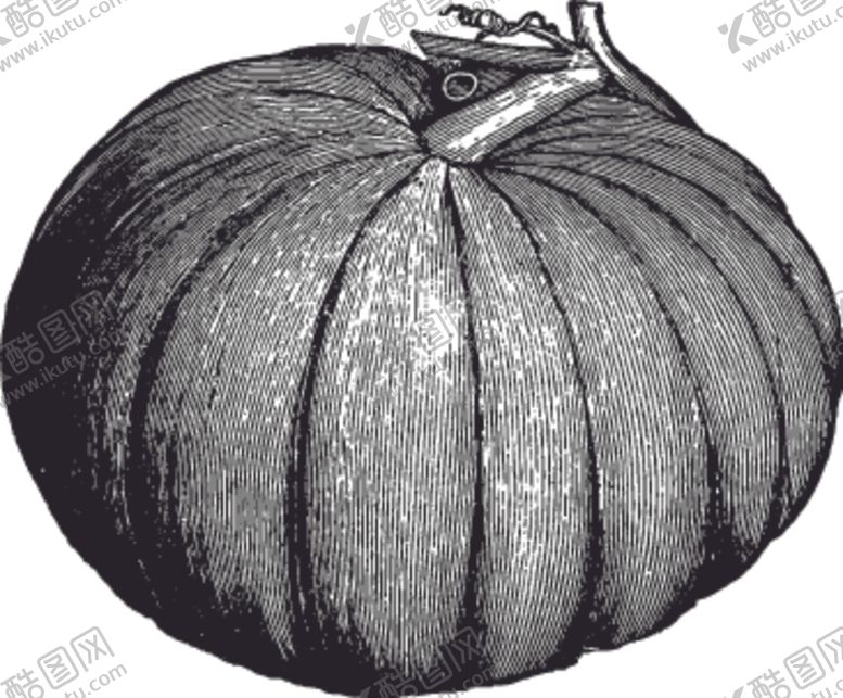 编号：43762611010823126691【酷图网】源文件下载-素描手绘蔬菜