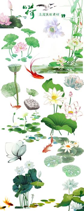 荷花免抠图手绘素材中国风