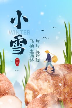 小雪节气海报