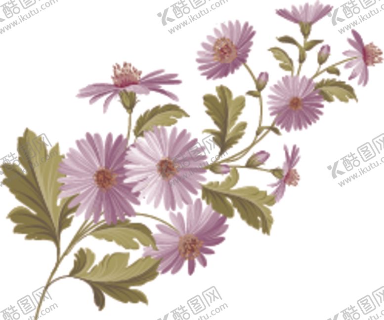 编号：58562410030444111178【酷图网】源文件下载-花卉