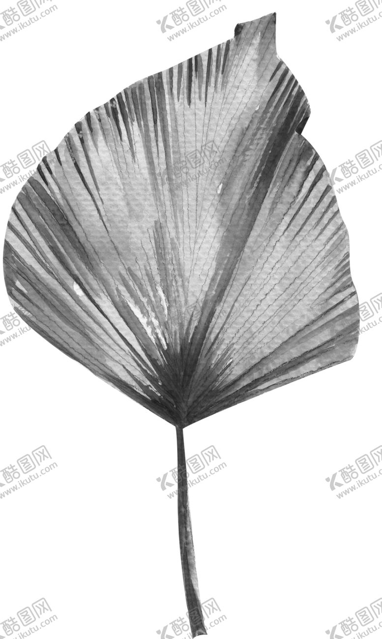 编号：49262707031304403275【酷图网】源文件下载-北欧小清新水彩植物图案