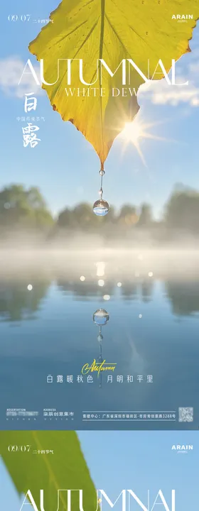 白露落叶露珠风景特写海报