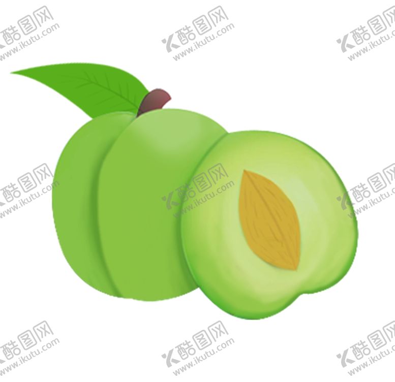 编号：45935006280607135205【酷图网】源文件下载-青奈李图片