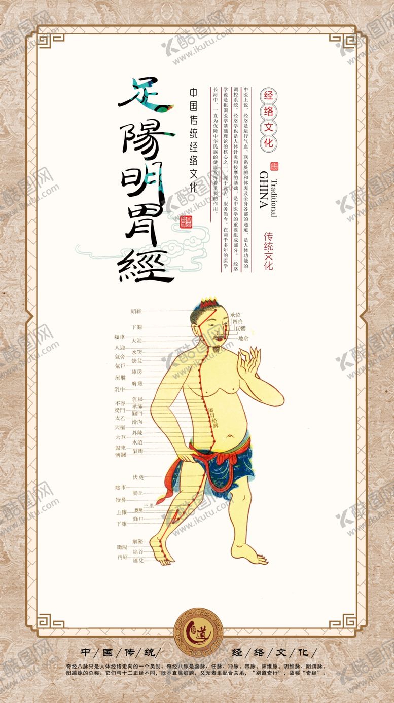 编号：88573001281606282446【酷图网】源文件下载-穴位