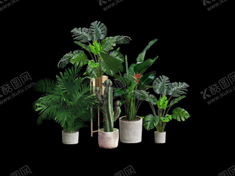 编号：98232007031554109074【酷图网】源文件下载-绿植