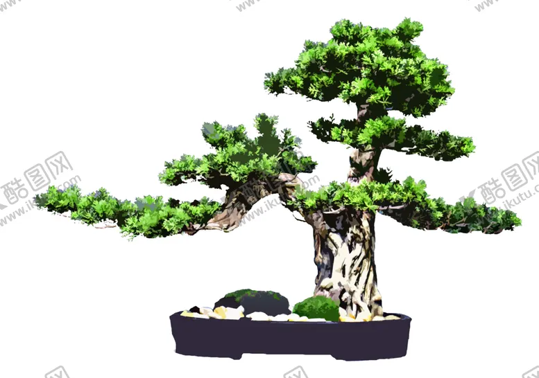 编号：13459401281353324209【酷图网】源文件下载-盆景