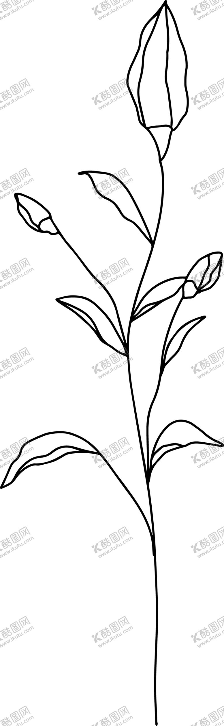 编号：37885004151523304303【酷图网】源文件下载-手绘花藤花纹