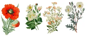 手绘花朵化妆品纹插画