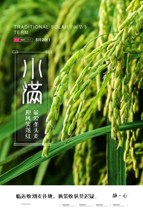 小满