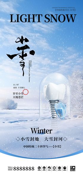 医美小雪大雪海报