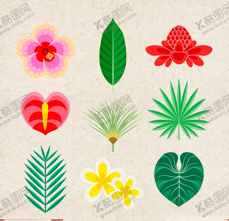 编号：40584010030720521084【酷图网】源文件下载-矢量动物矢量植物插画手绘