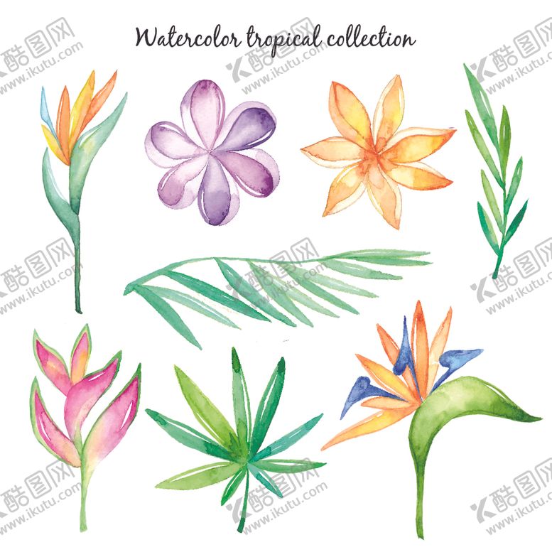 编号：89392810031714435074【酷图网】源文件下载-水彩叶子