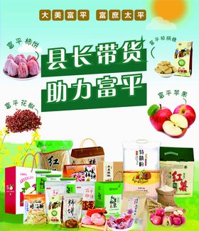 县长来直播农副产品富平特产