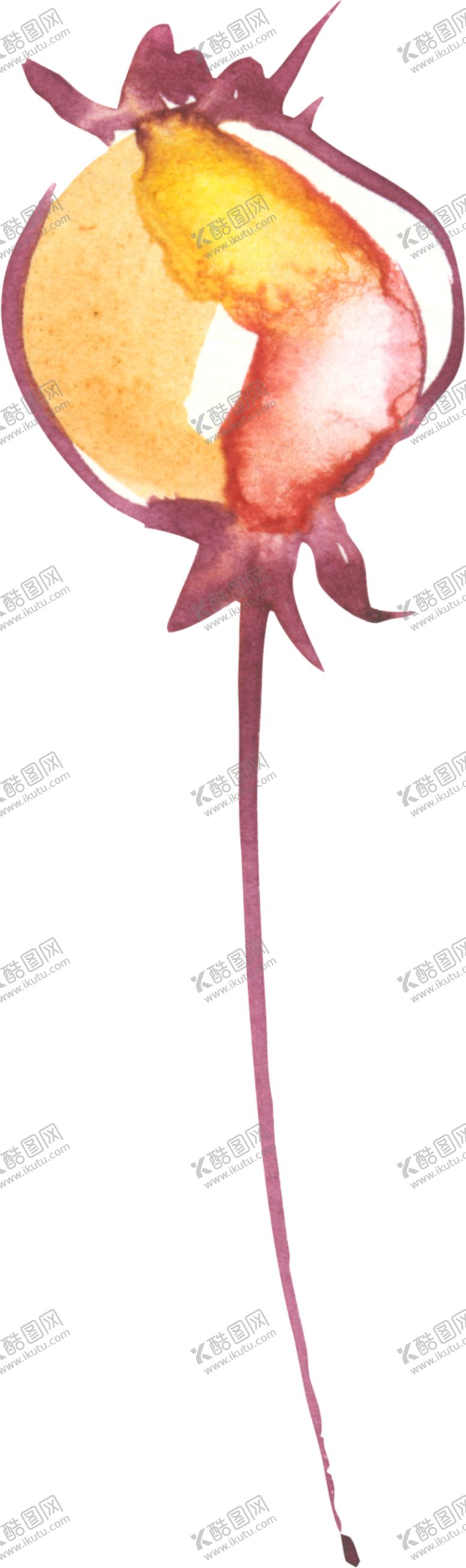编号：70594605111515123746【酷图网】源文件下载-水彩手绘花卉花朵植物